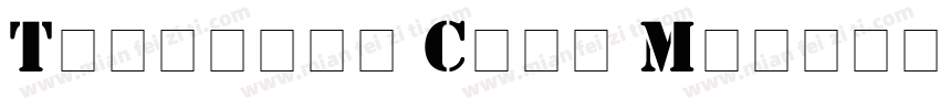 Template Caps Medium SSi字体转换